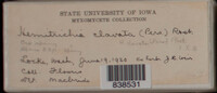 Image Associated With the Occurence